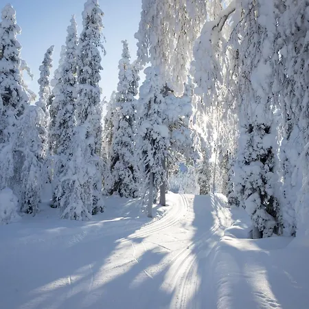 Apartment Ride & Glide Yllaes Yllasjarvi